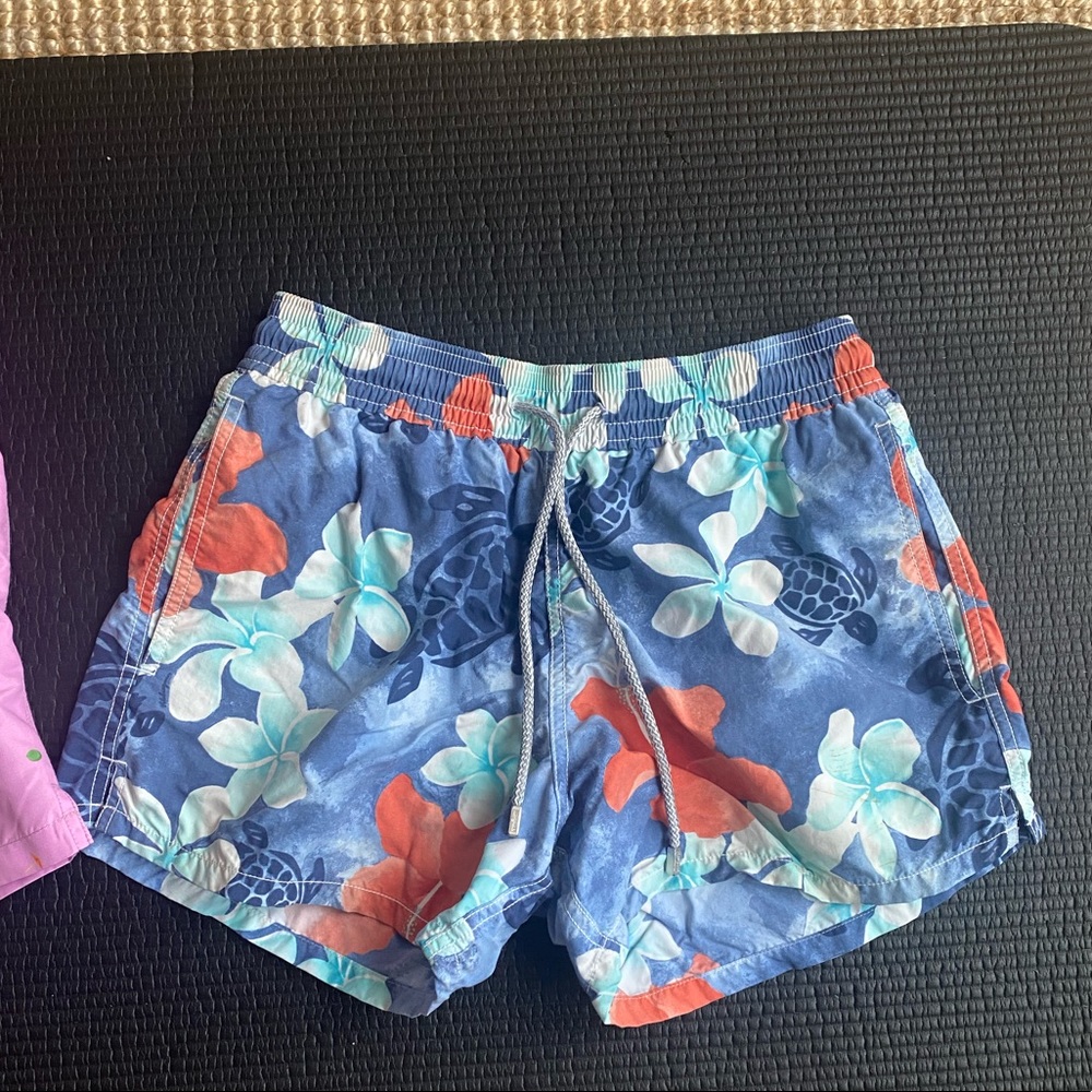 Mens Vilebrequin bathing suit